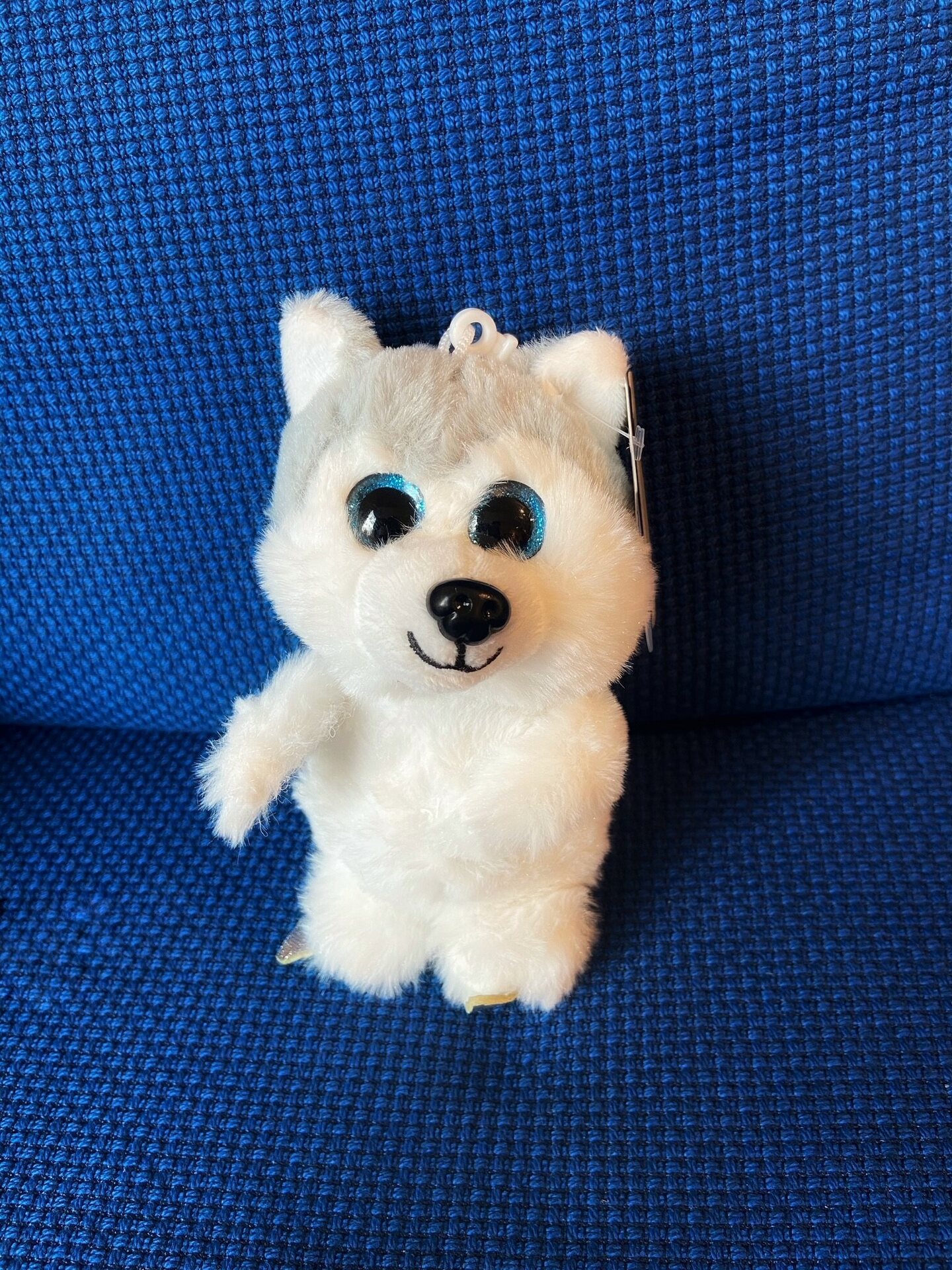 Jerry's Luistelumaskotti Husky