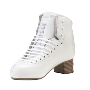 Sychronized skating и ice dance