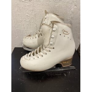 Chorus 215 B + Coronation Ace 8", käytetty