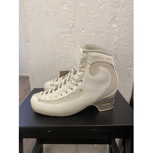 Ice Fly 260 B, käytetty