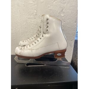 Silver 5A/AA + Aspirational 9.5", käytetty